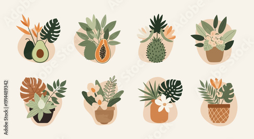 tropical floral arrangements, botanical illustrations, boho style, nature