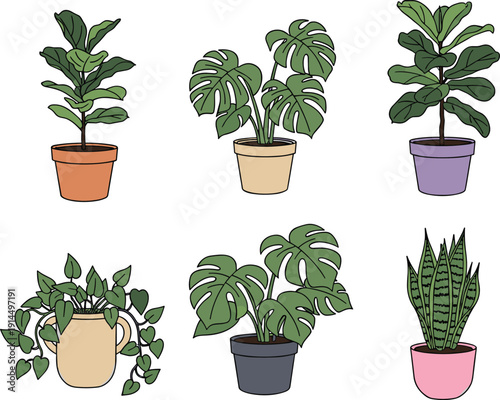 Indoor potted houseplants collection illustration, monstera, fiddle leaf fig and snake plant decorative botanical set, flat vector design bundle