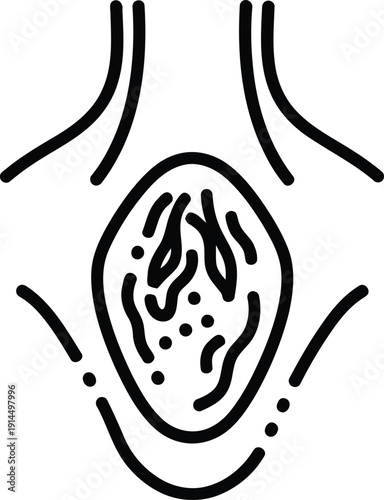 A simple line drawing of a vulva with visible labia and vaginal opening.