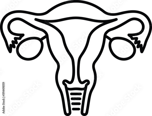 Simple line drawing of the female reproductive system including uterus and ovaries.