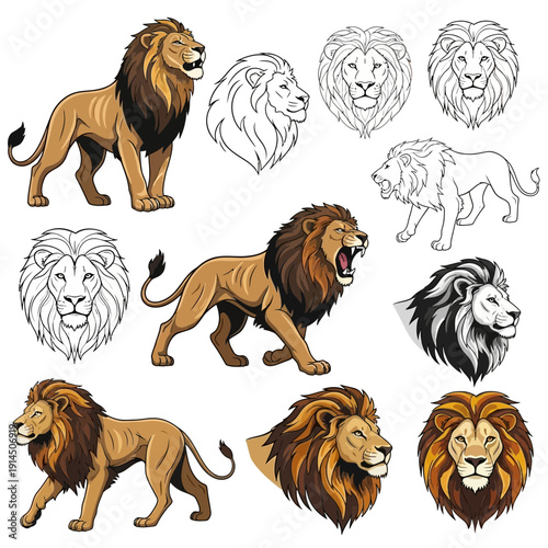 Majestic Lions A Collection of Illustrations in Various Poses