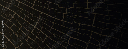 Dark brown background with cracked texture. The background features a rustic style. Brown background with an aged, distressed look. Cracked texture vintage background vector