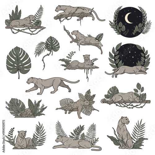 Jungle Panthers and Tropical Leaves Illustration Collection