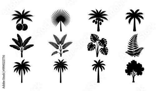 Tropical plant silhouette icon set vector nine palm trees and leaves isolated on transparent background