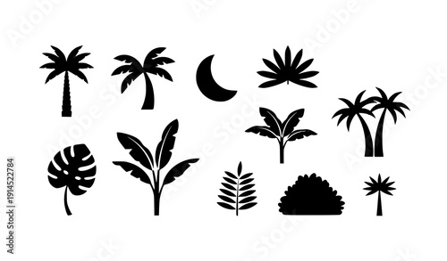 Minimal tropical palm silhouette icon set vector nine black botanical symbols isolated on transparent background