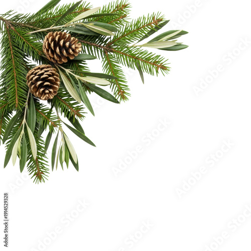 A minimalist christmas corner border of lush deep-green fir branches, silvery olive leaves, and gold metallic pine cones, on a transparent background, sharp macro flat lay focus. concept of elegant