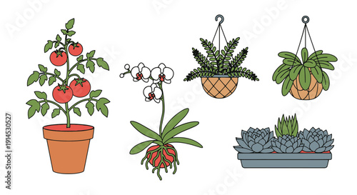 Greenhouse Plant creative abstract minimal vector