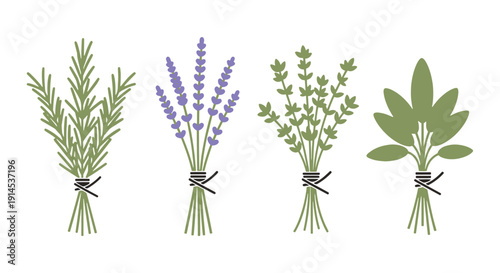 Herb Bundle Line art minimal bold color vector
