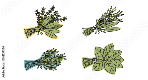 Herb Bundle Line art soft dynamic tone illustration