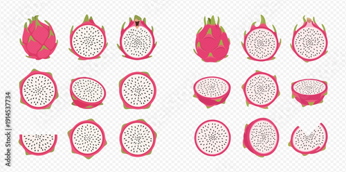 Set of fresh dragon fruit illustrations, whole and cut, showcasing vibrant pink skin and white flesh with black seeds.