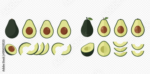 Avocado whole, half, and sliced vector illustration set on transparent background.