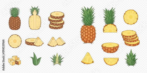 Pineapple fruit vector set with whole, sliced, and diced pieces for healthy food and tropical drink designs.