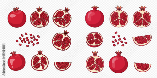 Set of fresh pomegranates, whole, half, and seeds, vector illustration on transparent background.