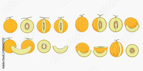 Set of fresh cantaloupe melon illustrations, whole, half, and sliced pieces, isolated on transparent background.