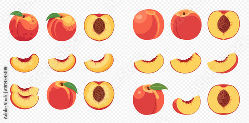 Collection of fresh peaches, whole, half, and sliced, showcasing ripe summer fruit.