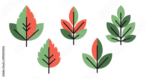 Leaf Line art vector color clean design creative bold tone