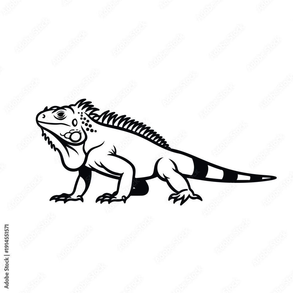Fototapeta premium Detailed black and white drawing of a lizard on a plain background