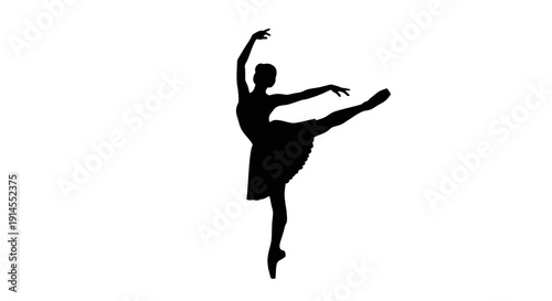 Elegant ballerina dancing gracefully alone in a beautiful studio environment from a side viewpoint Whisk