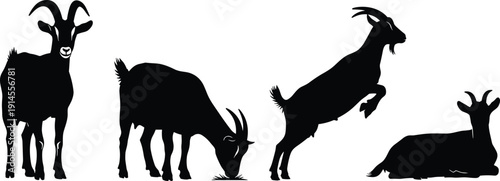 Domestic Goat Silhouettes Collection Featuring Standing, Grazing, Jumping and Resting Farm Animals Isolated on White Background Black Vector Illustration