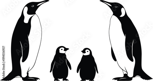 Emperor Penguin Family Silhouette Illustration with Adult Penguins and Chicks Isolated on White Background, Minimalist Black and White Wildlife Vector Art
