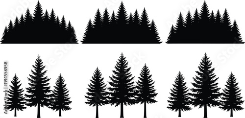 Evergreen Pine Forest Silhouettes Collection with Spruce and Fir Trees Isolated on White Background Black Nature Vector Illustration Set