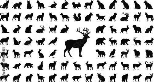 Animal silhouettes grid featuring diverse wildlife species, birds, mammals, insects, central deer with antlers, vector illustration design