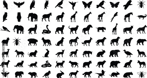 Animal silhouettes collection featuring diverse species, birds, mammals, insects, reptiles, wildlife taxonomy, classification, vector illustration design