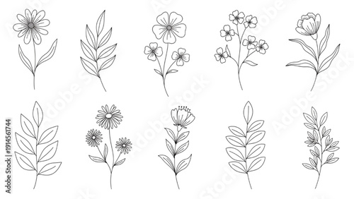 Set of delicate hand-drawn botanical line art illustrations featuring various flowers and leaves, perfect for elegant designs
