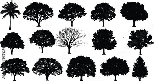 Tree silhouette collection featuring diverse deciduous and tropical trees, natural forest shapes and canopies, black vector illustration set isolated on white background for landscape design