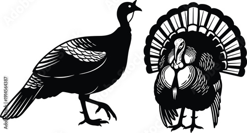 Black vector silhouettes of turkeys in contrasting postures, one sleek with folded wings, another displaying fanned tail feathers in courtship