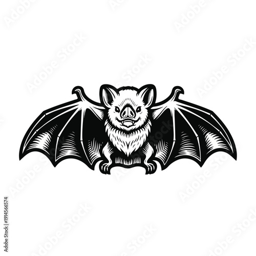 Detailed illustration of a flying mammal with outstretched wings and furry body