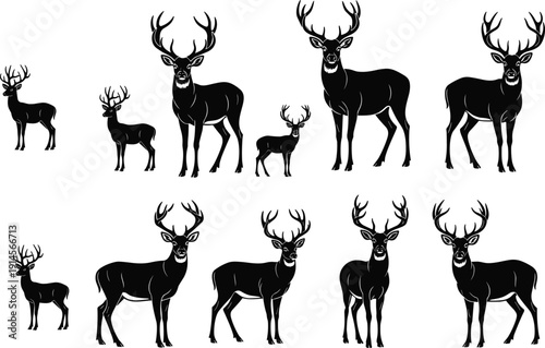 Deer silhouette collection with antlers, twelve variations of posture and horn shapes, wildlife animal vector illustration design for nature themes