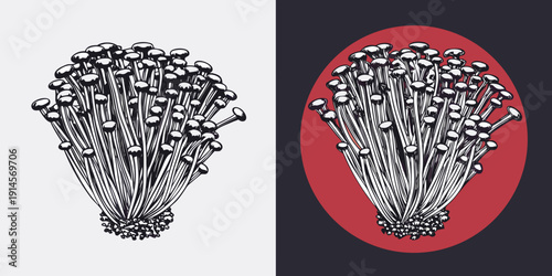Detailed illustration of clustered enoki mushrooms in contrasting color schemes