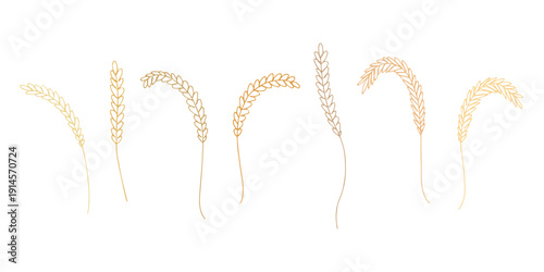 Set of hand drawn cereal wheat oat rye barley rice ears spikelet clipart Organic wheat bread agriculture farming harvest healthy food Single element for design print packaging label decor