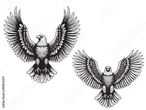 Eagle spreading wings engraving illustration freedom emblem