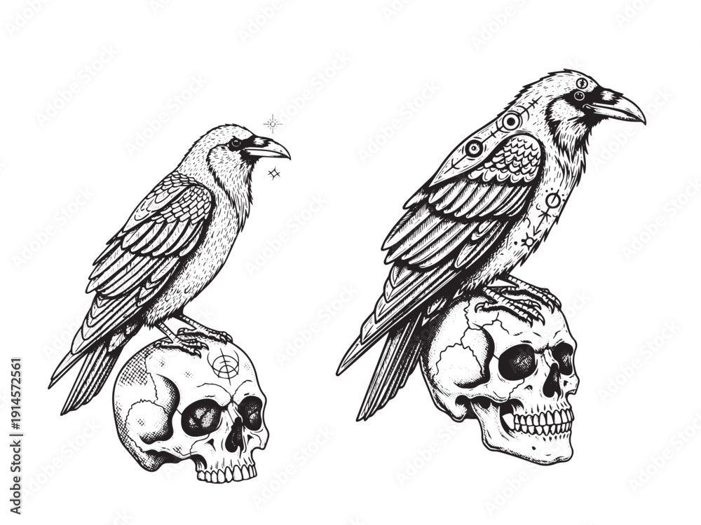 Naklejka premium Raven perched skull engraving tattoo illustration