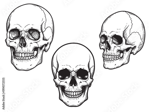 Minimal skull outline engraving dark tattoo art