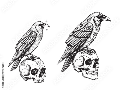 Raven perched skull engraving tattoo illustration