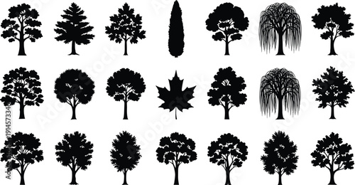 Black tree silhouette collection featuring various deciduous and coniferous species like oak pine and willow isolated on white background for nature landscape design
