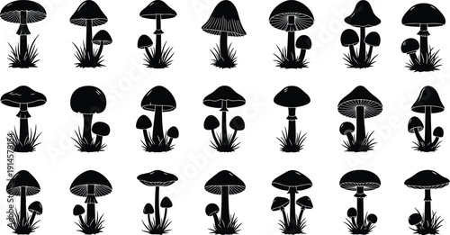 Mushroom silhouette collection with twenty five variations, unique caps and stems, botanical fungi vector illustration design for forest nature themes