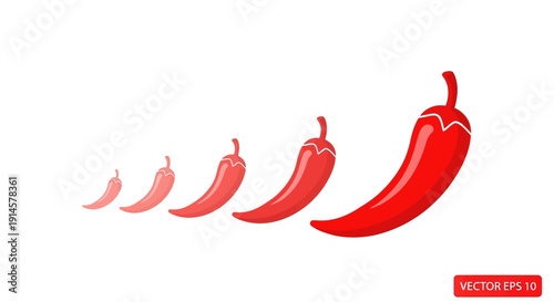 Vector illustration of a chili pepper heat scale with a row of increasingly larger and darker red peppers, featuring a spicy level indicator and hotness gauge icon on a clean white