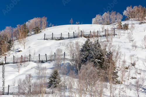 Tableau sur toile Sunny winter landscape featuring avalanche barriers and trees on a white hill