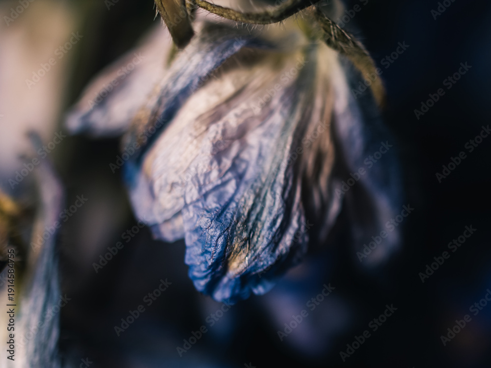 custom made wallpaper toronto digitalWilting flower