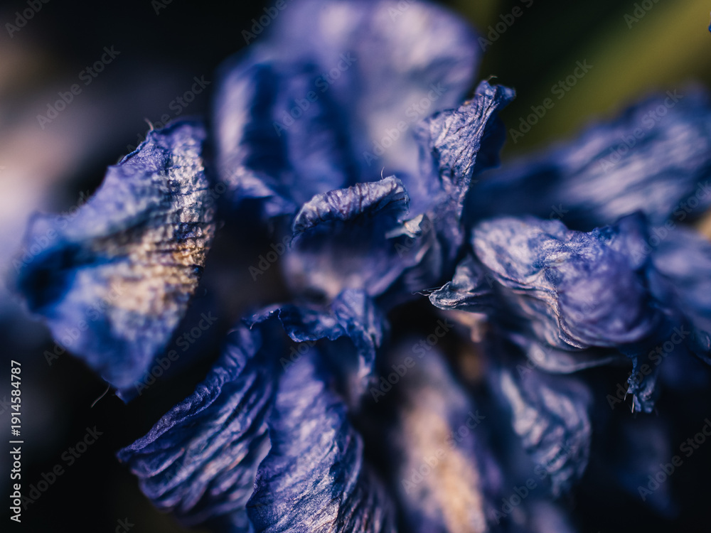 custom made wallpaper toronto digitalWilting flower