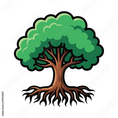 A tree with a large, bushy green canopy and exposed roots