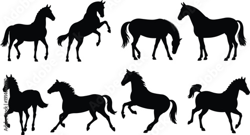 Horse silhouette vector collection, black stallion and mare running, rearing, grazing and trotting poses isolated on white background for logo, equestrian design