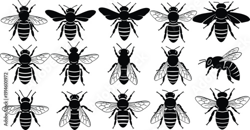 Bee Silhouette Collection Vector Illustration Set of Detailed Honeybee and Bumblebee Insect Designs Isolated on White Background for Nature and Ecology Projects
