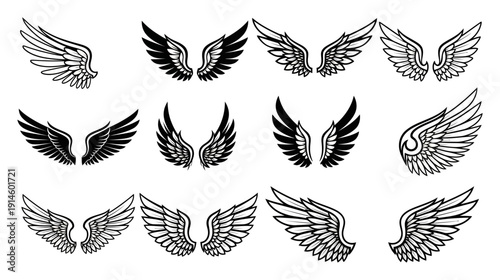 Collection of diverse black and white wing in various styles and sizes wings angel