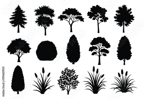 Silhouette trees and plants set featuring various common garden species for landscape design