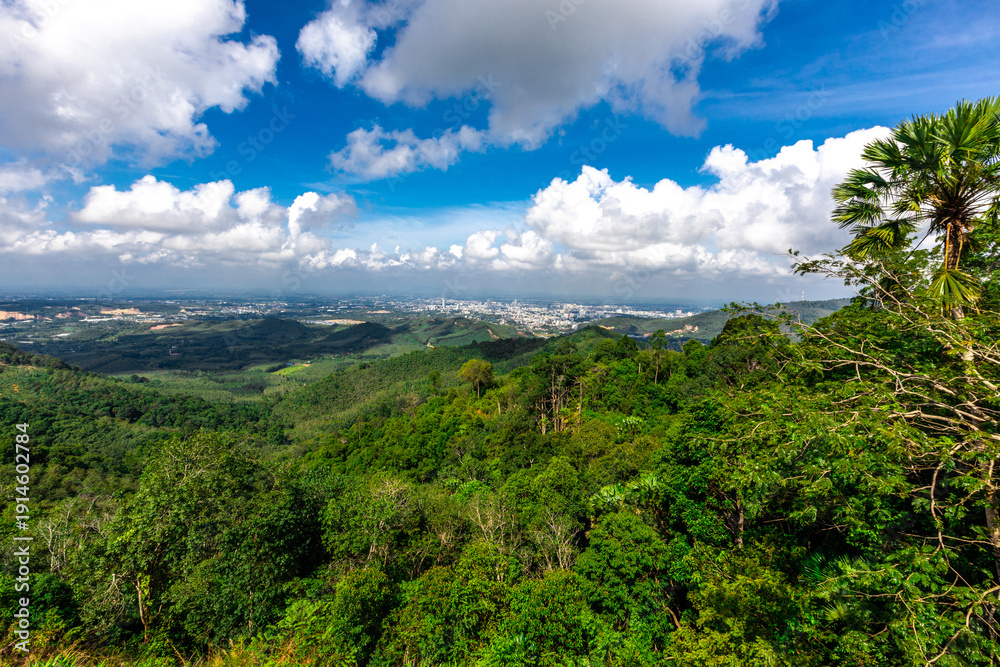 Fototapeta premium Panoramic nature background On a high mountain, you can see the scenery of trees, grass, and lush rice fields. While traveling on an adventure trip